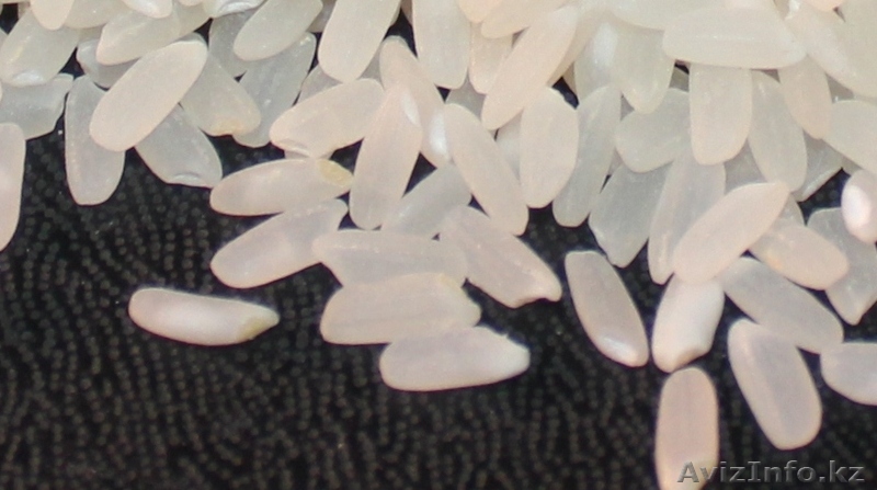 Продам рис шлифованный. Крупа рисовая - Изображение #1, Объявление #1187495