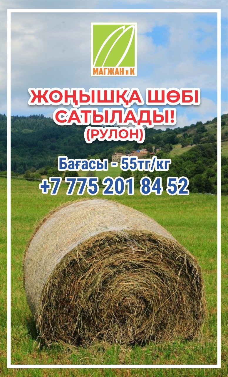 Жоңышқа в Кызылорде!!! Жоңышқа шөбі сатылады! - Изображение #1, Объявление #1725428