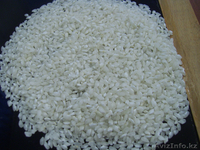 Продам рис Урожай 2013 года в неограниченном кол-ве город Кызылорда  - Изображение #1, Объявление #72768