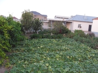 Продается 5-комнатный уютный теплый дом - Изображение #4, Объявление #764064