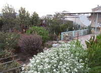 Продается 5-комнатный уютный теплый дом - Изображение #5, Объявление #764064