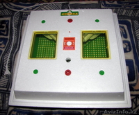 инкубаторы в кызылорда, Инкубатор для любых видов птиц - Изображение #4, Объявление #804716