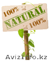 Кырмызы Алтынбай, г.Кызылорда, kaltynbay@inbox.ru - Изображение #1, Объявление #1111583