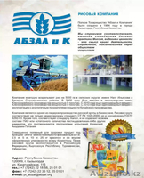 рис шлифованный 1 сорта от ПТ "Абзал и Компания" - Изображение #6, Объявление #1167858