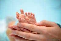 Adil элита видео - Изображение #3, Объявление #1468208