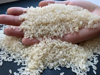 Рис шлифованный, рис дробленный от ПРОИЗВОДИТЕЛЯ - Изображение #1, Объявление #1111086