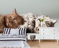 Фотообои по всему Казахстану любого размера - Изображение #5, Объявление #1695095