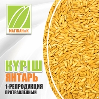 Семена риса - Изображение #2, Объявление #1730151