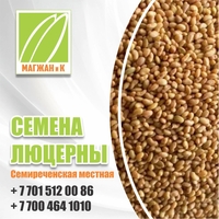 Семена риса - Изображение #5, Объявление #1730151