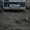 Продаю автобус в Кызылорде #1087677