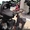 Stokke Xplory Базовая V4 коляска - черный меланж  #1165925