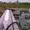 Пеноизол - Жидкая пена в г. Кызылорда от 17 000 тенге за 1м3 - Изображение #5, Объявление #1225553