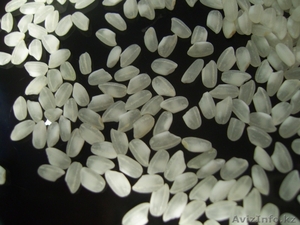 Продам рис Урожай 2013 года в неограниченном кол-ве город Кызылорда  - Изображение #2, Объявление #72768