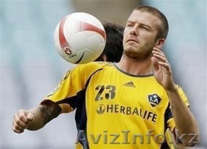  Независимый дистрибьютор  Гербалайф Формула 1 Коктейль