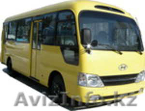 Продаём автобусы Дэу Daewoo Хундай Hyundai Киа Kia в Омске. Кызылорда. - Изображение #5, Объявление #849026