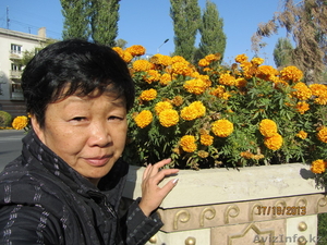 Из рук в руки продам клумбовые цветы  из собственной теплицы