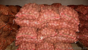 Продам картофель калиброванный продовольственный и семенной. - Изображение #1, Объявление #1229868