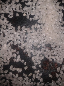 Продам рис  сорт Акмаржан,Янтарь - Изображение #1, Объявление #1335660