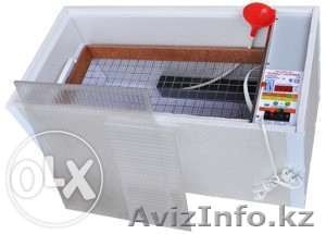 Купить инкубатор в Алматы. Новые инкубаторы вы можете купить у нас