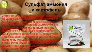 Кристаллический сульфат аммония