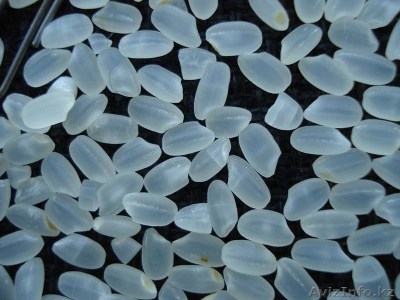 Продам рис Урожай 2013 года в неограниченном кол-ве город Кызылорда  - Изображение #4, Объявление #72768