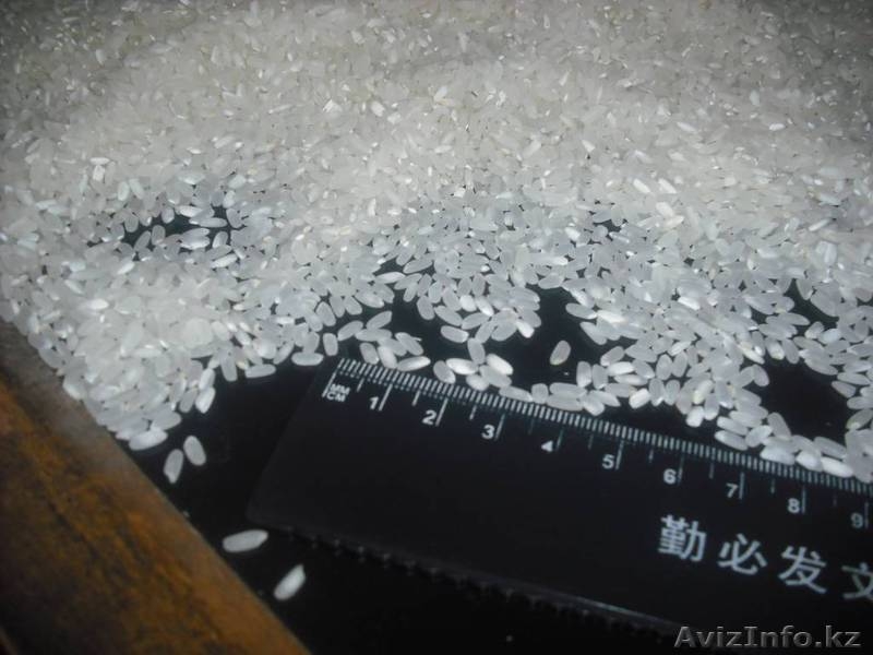 Продам рис Урожай 2013 года в неограниченном кол-ве город Кызылорда  - Изображение #8, Объявление #72768