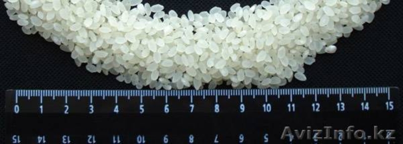 Продам рис Урожай 2013 года в неограниченном кол-ве город Кызылорда  - Изображение #7, Объявление #72768