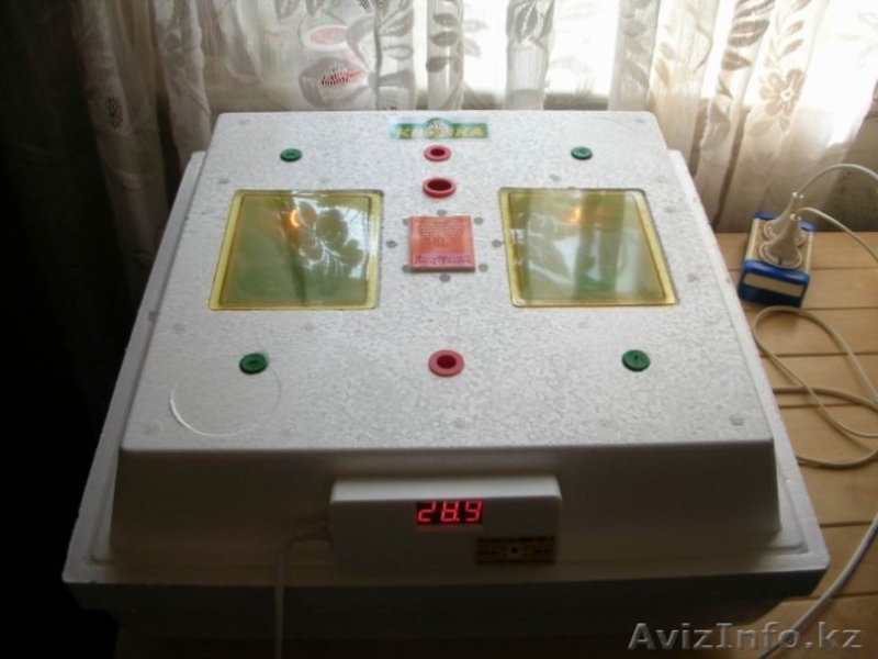 инкубаторы в кызылорда, Инкубатор для любых видов птиц - Изображение #3, Объявление #804716