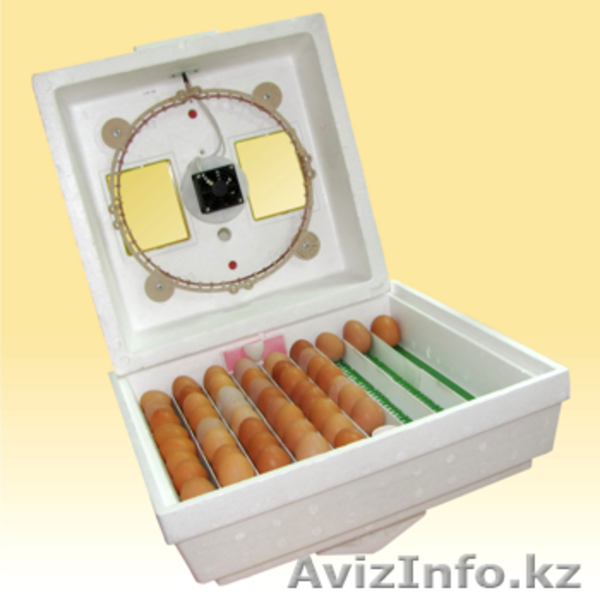 инкубаторы в кызылорда, Инкубатор для любых видов птиц - Изображение #1, Объявление #804716