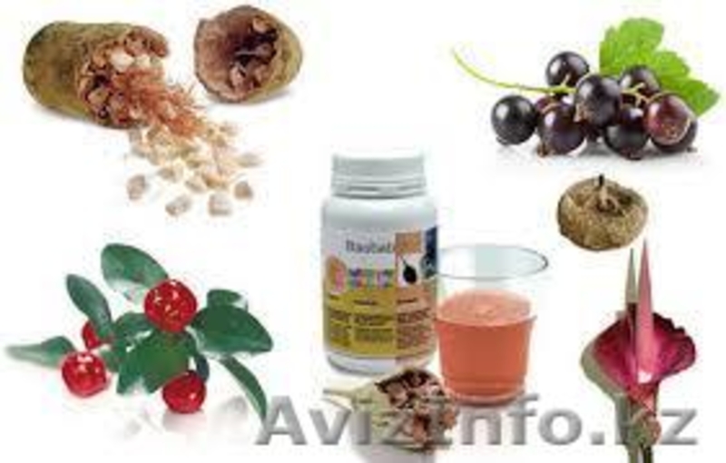 Baobab Life ключ к здоровью - Изображение #2, Объявление #929338