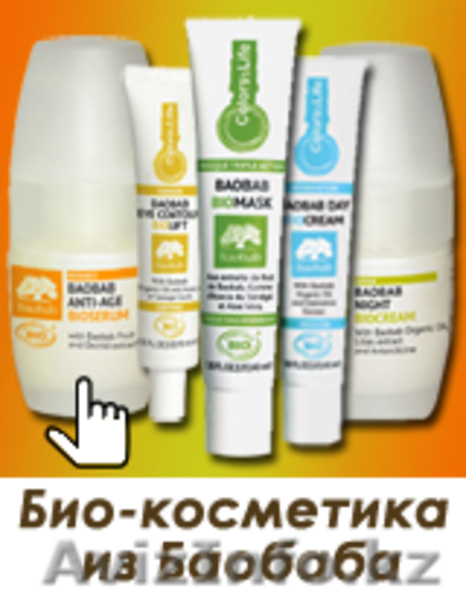 Кырмызы Алтынбай, г.Кызылорда, kaltynbay@inbox.ru - Изображение #2, Объявление #1111583