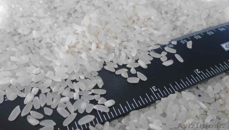 Рис от производителя. УРОЖАЙ 2021г. - Изображение #1, Объявление #1136264