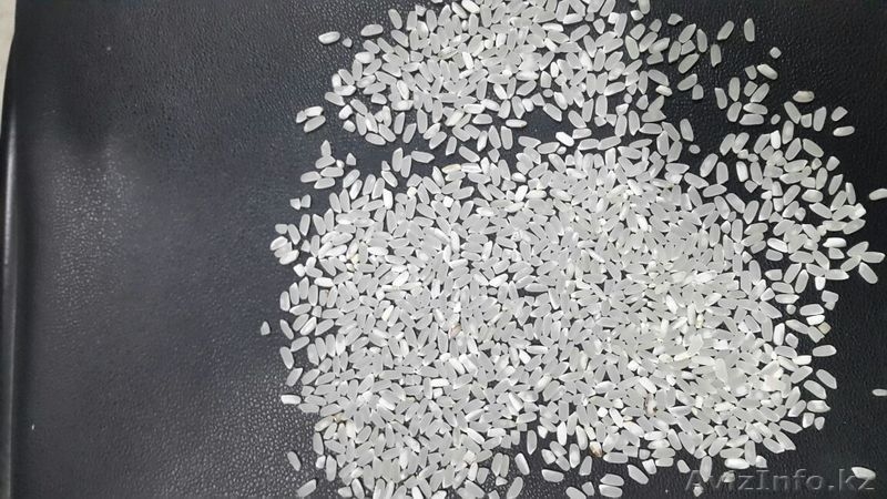 Продается рис!!! - Изображение #1, Объявление #1503277