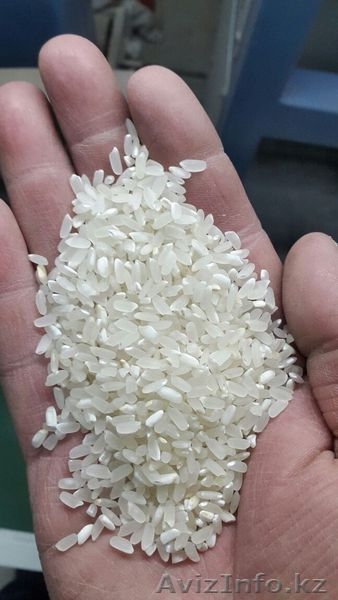 Продается рис!!! - Изображение #2, Объявление #1503277