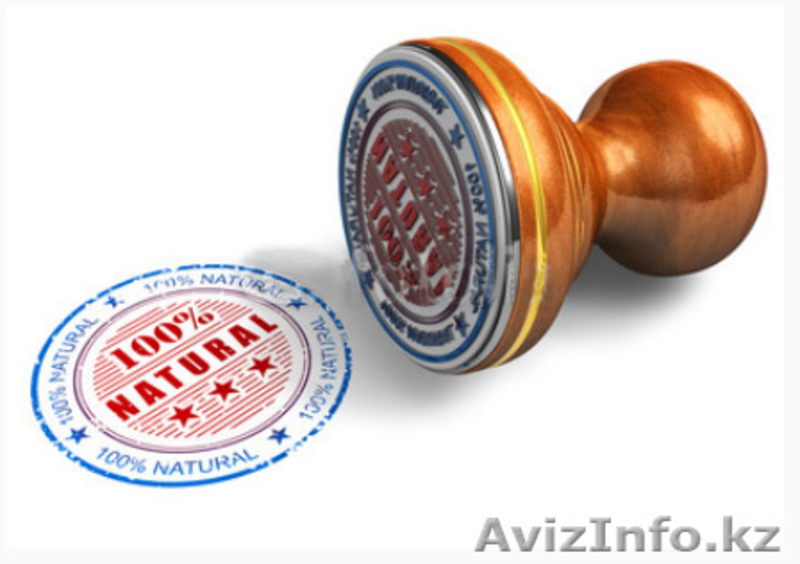 Центр Предпринимателя Кызылорда Журба №12 "Даму" Кабинет 405 СВЕТЛАНА - Изображение #2, Объявление #1511159