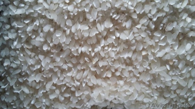 Продам самый лучший рис! - Изображение #1, Объявление #1505340