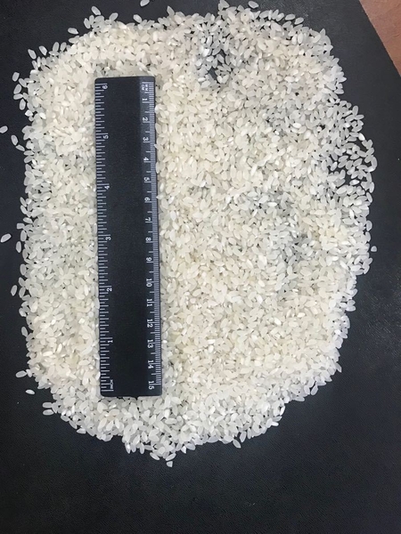 Рис от производителя. УРОЖАЙ 2021г. - Изображение #4, Объявление #1136264