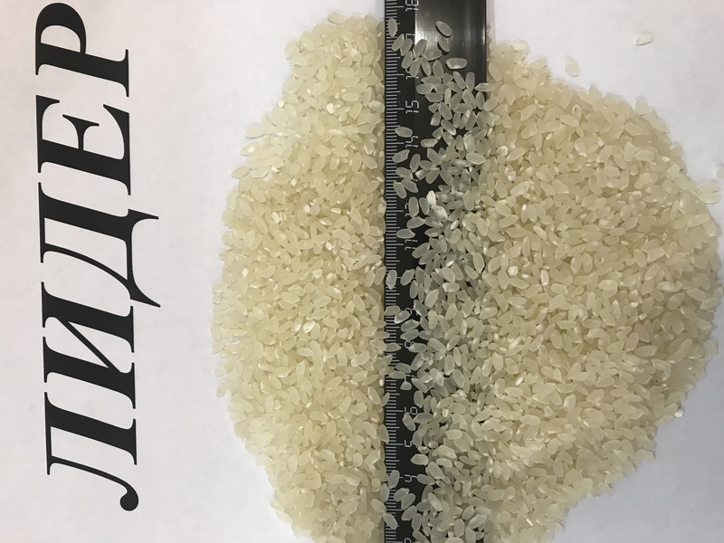 Рис шлифованный, рис дробленный от ПРОИЗВОДИТЕЛЯ - Изображение #2, Объявление #1111086