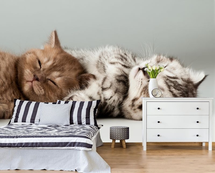 Фотообои любого размера, на вашу стену - Изображение #3, Объявление #1695092