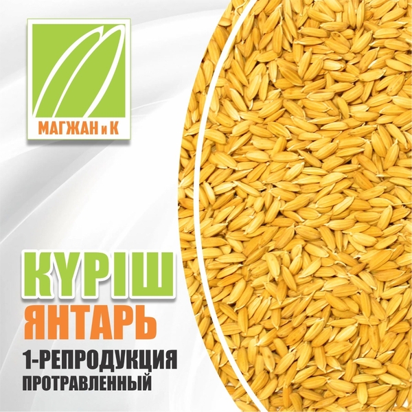 Семена риса - Изображение #2, Объявление #1730151